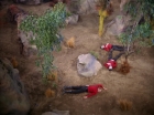 Filename=ariane179254_StarTrek_2x13_Obsession_0237.jpg
Filesize=147KiB
Dimensions=1440x1080
Date added=Jul 02, 2015 ariane179254_StarTrek_2x13_Obsession_0237.jpg