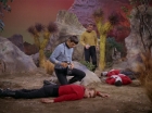 Filename=ariane179254_StarTrek_2x13_Obsession_0263.jpg
Filesize=145KiB
Dimensions=1440x1080
Date added=Jul 02, 2015 ariane179254_StarTrek_2x13_Obsession_0263.jpg