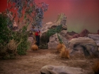 ariane179254_StarTrek_2x13_Obsession_0899.jpg