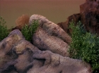 Filename=ariane179254_StarTrek_2x13_Obsession_0932.jpg
Filesize=150KiB
Dimensions=1440x1080
Date added=Jul 02, 2015 ariane179254_StarTrek_2x13_Obsession_0932.jpg