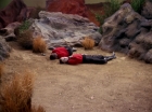 Filename=ariane179254_StarTrek_2x13_Obsession_0948.jpg
Filesize=153KiB
Dimensions=1440x1080
Date added=Jul 02, 2015 ariane179254_StarTrek_2x13_Obsession_0948.jpg