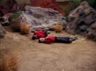 Filename=ariane179254_StarTrek_2x13_Obsession_0949.jpg
Filesize=144KiB
Dimensions=1440x1080
Date added=Jul 02, 2015 ariane179254_StarTrek_2x13_Obsession_0949.jpg