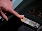 ariane179254_StarTrek_2x13_Obsession_2574.jpg