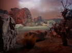 ariane179254_StarTrek_2x13_Obsession_3039.jpg