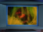 Filename=ariane179254_StarTrek_2x14_WolfInTheFold_2780.jpg
Filesize=81KiB
Dimensions=1440x1080
Date added=Jul 03, 2015 ariane179254_StarTrek_2x14_WolfInTheFold_2780.jpg