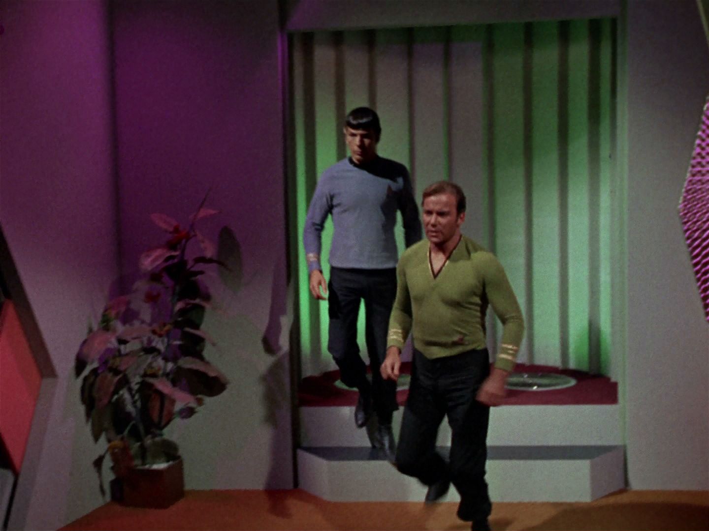 ariane179254_StarTrek_2x15_TheTroubleWithTribbles_0112.jpg