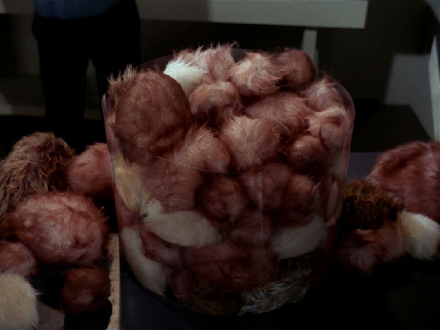 ariane179254_StarTrek_2x15_TheTroubleWithTribbles_0866.jpg