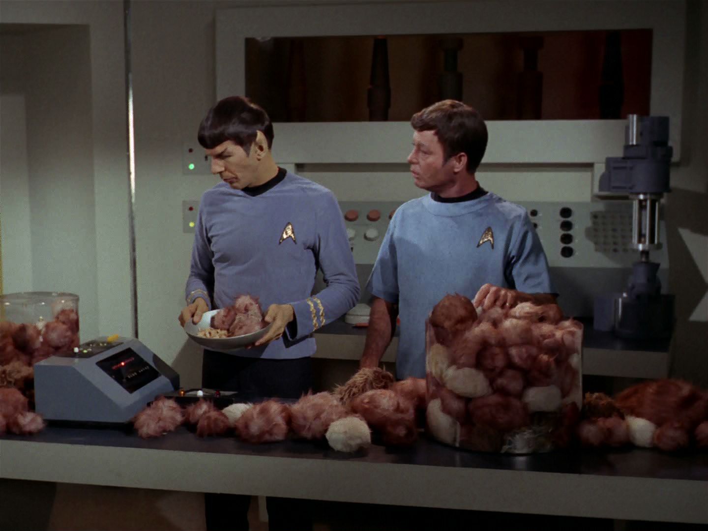 ariane179254_StarTrek_2x15_TheTroubleWithTribbles_0874.jpg