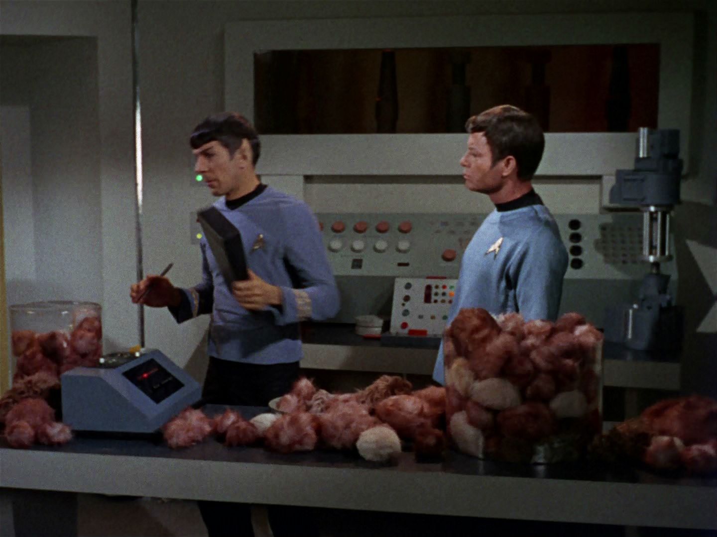 ariane179254_StarTrek_2x15_TheTroubleWithTribbles_0910.jpg