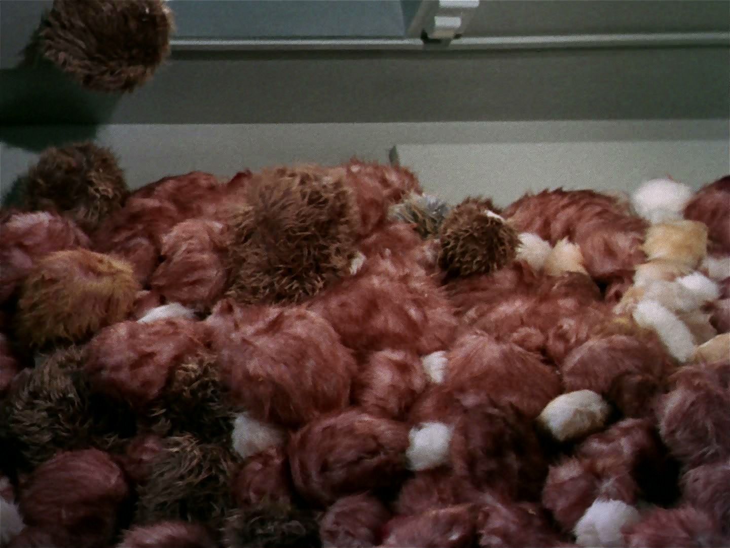 ariane179254_StarTrek_2x15_TheTroubleWithTribbles_1193.jpg