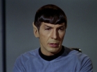 Filename=ariane179254_StarTrek_2x15_TheTroubleWithTribbles_0017.jpg
Filesize=90KiB
Dimensions=1440x1080
Date added=Jan 18, 2012 ariane179254_StarTrek_2x15_TheTroubleWithTribbles_0017.jpg