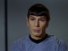 Filename=ariane179254_StarTrek_2x15_TheTroubleWithTribbles_0044.jpg
Filesize=90KiB
Dimensions=1440x1080
Date added=Jan 18, 2012 ariane179254_StarTrek_2x15_TheTroubleWithTribbles_0044.jpg