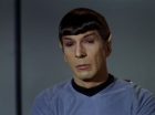 Filename=ariane179254_StarTrek_2x15_TheTroubleWithTribbles_0050.jpg
Filesize=100KiB
Dimensions=1440x1080
Date added=Jan 18, 2012 ariane179254_StarTrek_2x15_TheTroubleWithTribbles_0050.jpg