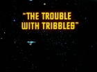 Filename=ariane179254_StarTrek_2x15_TheTroubleWithTribbles_0064.jpg
Filesize=65KiB
Dimensions=1440x1080
Date added=Jan 18, 2012 ariane179254_StarTrek_2x15_TheTroubleWithTribbles_0064.jpg