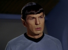 ariane179254_StarTrek_2x15_TheTroubleWithTribbles_0345.jpg