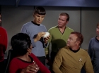 Filename=ariane179254_StarTrek_2x15_TheTroubleWithTribbles_0473.jpg
Filesize=101KiB
Dimensions=1440x1080
Date added=Jan 18, 2012 ariane179254_StarTrek_2x15_TheTroubleWithTribbles_0473.jpg