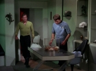 ariane179254_StarTrek_2x15_TheTroubleWithTribbles_0517.jpg