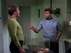ariane179254_StarTrek_2x15_TheTroubleWithTribbles_0520.jpg