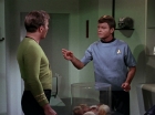 ariane179254_StarTrek_2x15_TheTroubleWithTribbles_0521.jpg