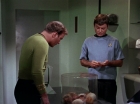 ariane179254_StarTrek_2x15_TheTroubleWithTribbles_0522.jpg