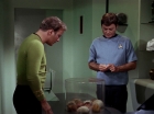 ariane179254_StarTrek_2x15_TheTroubleWithTribbles_0524.jpg