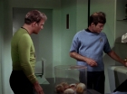 ariane179254_StarTrek_2x15_TheTroubleWithTribbles_0525.jpg