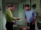 ariane179254_StarTrek_2x15_TheTroubleWithTribbles_0526.jpg