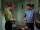 ariane179254_StarTrek_2x15_TheTroubleWithTribbles_0527.jpg
