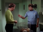 ariane179254_StarTrek_2x15_TheTroubleWithTribbles_0528.jpg