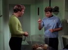 ariane179254_StarTrek_2x15_TheTroubleWithTribbles_0529.jpg