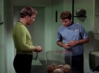 ariane179254_StarTrek_2x15_TheTroubleWithTribbles_0530.jpg