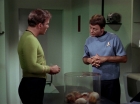 ariane179254_StarTrek_2x15_TheTroubleWithTribbles_0531.jpg