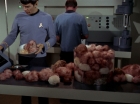 Filename=ariane179254_StarTrek_2x15_TheTroubleWithTribbles_0867.jpg
Filesize=116KiB
Dimensions=1440x1080
Date added=Jan 18, 2012 ariane179254_StarTrek_2x15_TheTroubleWithTribbles_0867.jpg
