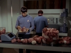 Filename=ariane179254_StarTrek_2x15_TheTroubleWithTribbles_0868.jpg
Filesize=112KiB
Dimensions=1440x1080
Date added=Jan 18, 2012 ariane179254_StarTrek_2x15_TheTroubleWithTribbles_0868.jpg