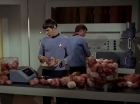 Filename=ariane179254_StarTrek_2x15_TheTroubleWithTribbles_0869.jpg
Filesize=107KiB
Dimensions=1440x1080
Date added=Jan 18, 2012 ariane179254_StarTrek_2x15_TheTroubleWithTribbles_0869.jpg
