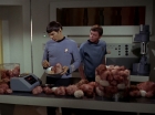 Filename=ariane179254_StarTrek_2x15_TheTroubleWithTribbles_0870.jpg
Filesize=107KiB
Dimensions=1440x1080
Date added=Jan 18, 2012 ariane179254_StarTrek_2x15_TheTroubleWithTribbles_0870.jpg