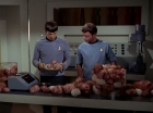 Filename=ariane179254_StarTrek_2x15_TheTroubleWithTribbles_0871.jpg
Filesize=106KiB
Dimensions=1440x1080
Date added=Jan 18, 2012 ariane179254_StarTrek_2x15_TheTroubleWithTribbles_0871.jpg