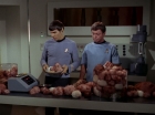 Filename=ariane179254_StarTrek_2x15_TheTroubleWithTribbles_0873.jpg
Filesize=108KiB
Dimensions=1440x1080
Date added=Jan 18, 2012 ariane179254_StarTrek_2x15_TheTroubleWithTribbles_0873.jpg