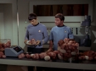 Filename=ariane179254_StarTrek_2x15_TheTroubleWithTribbles_0875.jpg
Filesize=101KiB
Dimensions=1440x1080
Date added=Jan 18, 2012 ariane179254_StarTrek_2x15_TheTroubleWithTribbles_0875.jpg