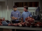 Filename=ariane179254_StarTrek_2x15_TheTroubleWithTribbles_0876.jpg
Filesize=109KiB
Dimensions=1440x1080
Date added=Jan 18, 2012 ariane179254_StarTrek_2x15_TheTroubleWithTribbles_0876.jpg