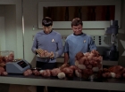 Filename=ariane179254_StarTrek_2x15_TheTroubleWithTribbles_0878.jpg
Filesize=108KiB
Dimensions=1440x1080
Date added=Jan 18, 2012 ariane179254_StarTrek_2x15_TheTroubleWithTribbles_0878.jpg