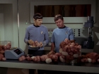 Filename=ariane179254_StarTrek_2x15_TheTroubleWithTribbles_0879.jpg
Filesize=109KiB
Dimensions=1440x1080
Date added=Jan 18, 2012 ariane179254_StarTrek_2x15_TheTroubleWithTribbles_0879.jpg