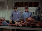 Filename=ariane179254_StarTrek_2x15_TheTroubleWithTribbles_0880.jpg
Filesize=109KiB
Dimensions=1440x1080
Date added=Jan 18, 2012 ariane179254_StarTrek_2x15_TheTroubleWithTribbles_0880.jpg