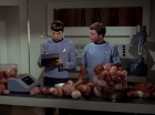 Filename=ariane179254_StarTrek_2x15_TheTroubleWithTribbles_0881.jpg
Filesize=100KiB
Dimensions=1440x1080
Date added=Jan 18, 2012 ariane179254_StarTrek_2x15_TheTroubleWithTribbles_0881.jpg