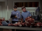 Filename=ariane179254_StarTrek_2x15_TheTroubleWithTribbles_0882.jpg
Filesize=106KiB
Dimensions=1440x1080
Date added=Jan 18, 2012 ariane179254_StarTrek_2x15_TheTroubleWithTribbles_0882.jpg