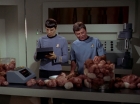 Filename=ariane179254_StarTrek_2x15_TheTroubleWithTribbles_0883.jpg
Filesize=111KiB
Dimensions=1440x1080
Date added=Jan 18, 2012 ariane179254_StarTrek_2x15_TheTroubleWithTribbles_0883.jpg
