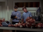 Filename=ariane179254_StarTrek_2x15_TheTroubleWithTribbles_0884.jpg
Filesize=110KiB
Dimensions=1440x1080
Date added=Jan 18, 2012 ariane179254_StarTrek_2x15_TheTroubleWithTribbles_0884.jpg