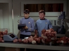 Filename=ariane179254_StarTrek_2x15_TheTroubleWithTribbles_0885.jpg
Filesize=107KiB
Dimensions=1440x1080
Date added=Jan 18, 2012 ariane179254_StarTrek_2x15_TheTroubleWithTribbles_0885.jpg