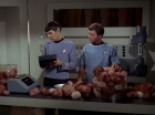Filename=ariane179254_StarTrek_2x15_TheTroubleWithTribbles_0886.jpg
Filesize=115KiB
Dimensions=1440x1080
Date added=Jan 18, 2012 ariane179254_StarTrek_2x15_TheTroubleWithTribbles_0886.jpg