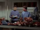 Filename=ariane179254_StarTrek_2x15_TheTroubleWithTribbles_0890.jpg
Filesize=109KiB
Dimensions=1440x1080
Date added=Jan 18, 2012 ariane179254_StarTrek_2x15_TheTroubleWithTribbles_0890.jpg